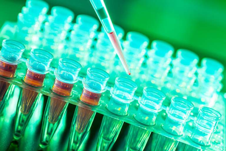 Kongresse BIT 03 768x0